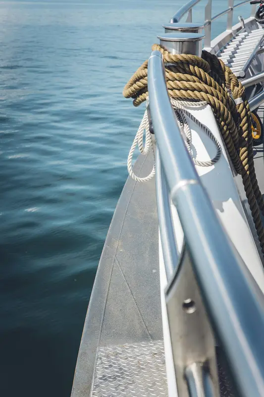Charger.Boats Premium Domain
